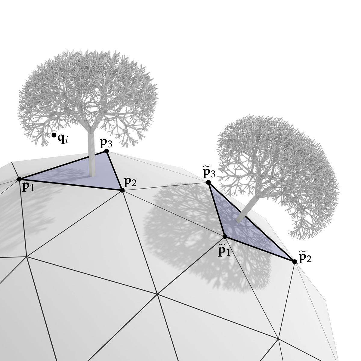 Tree Planting Diagram